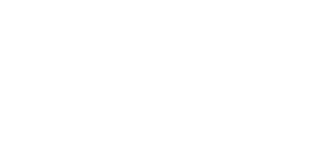 Via Capital Card logo